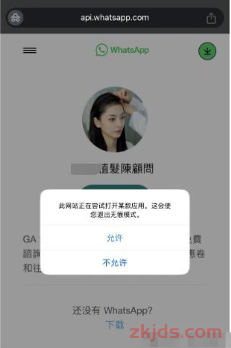 WhatsApp广告投放指南：Facebook引流跳转技巧