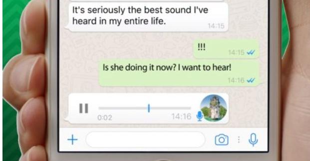 WhatsApp双勾变蓝：已读回执工作原理
